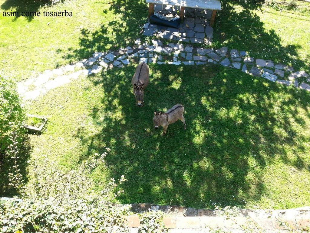 Il Borgo Della Colomba Villa Fosdinovo Exterior photo